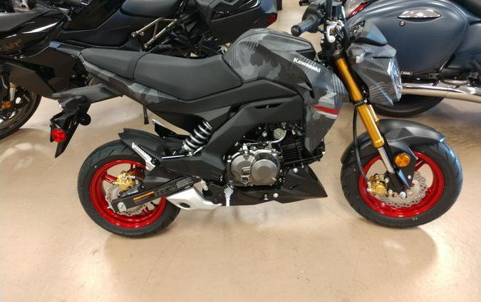 2024 Kawasaki Z125 Pro