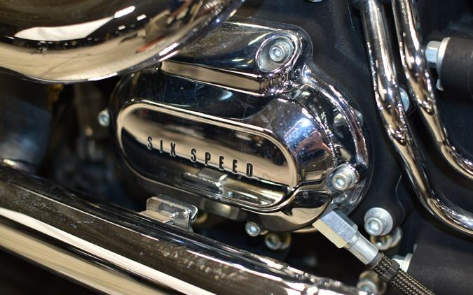2010 Harley-Davidson Softail Deluxe FLSTN