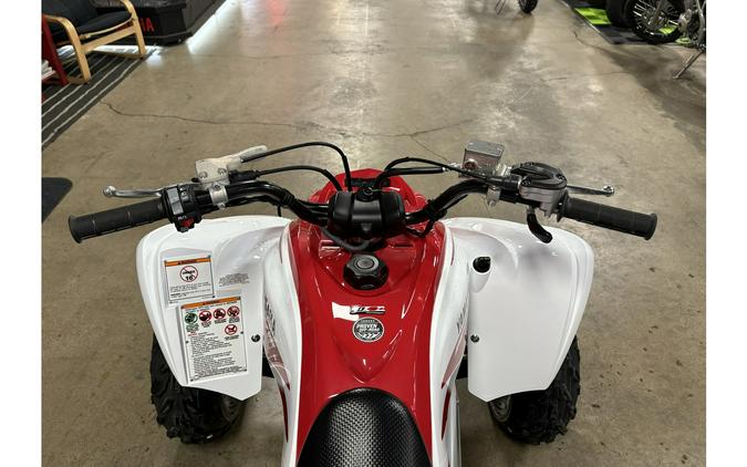 2026 Yamaha Raptor 700R SE 70TH Anniversary Edition
