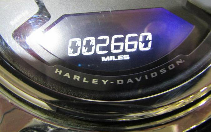 2021 Harley-Davidson® FLSB - Sport Glide™