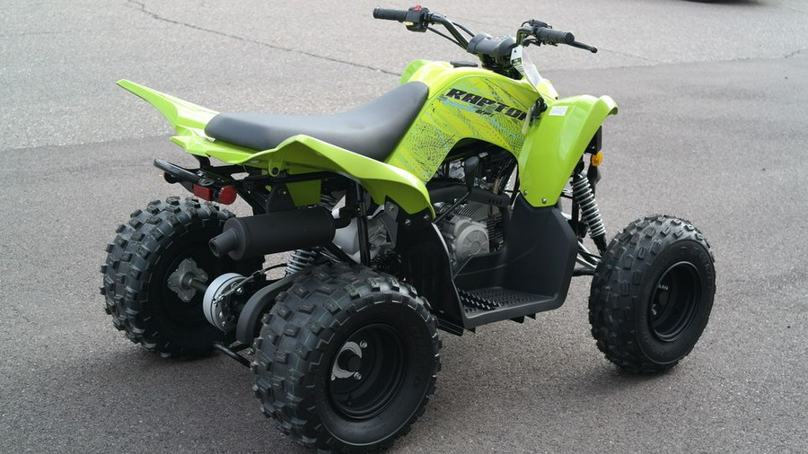 2026 Yamaha Raptor 110