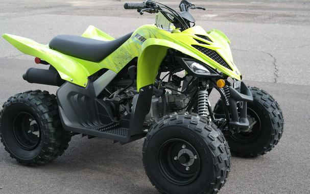 2026 Yamaha Raptor 110