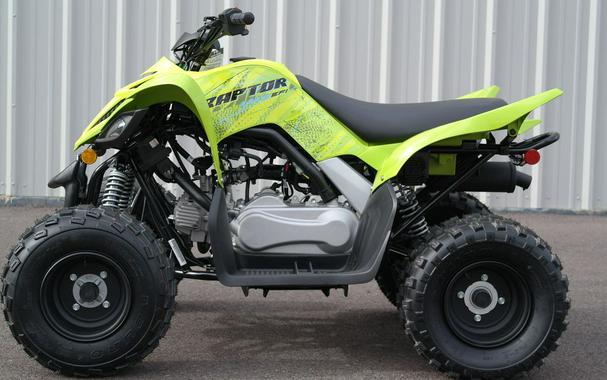 2026 Yamaha Raptor 110