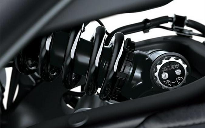 2026 Kawasaki Ninja ZX-10R ABS