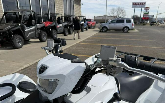 2019 Yamaha Grizzly EPS SE