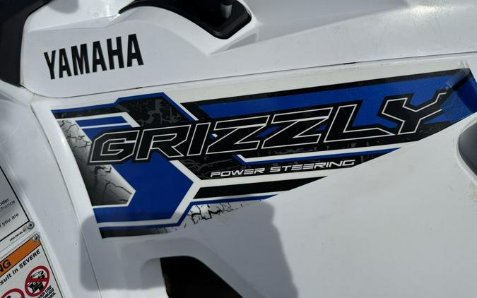 2019 Yamaha Grizzly EPS SE