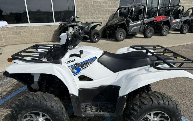 2019 Yamaha Grizzly EPS SE