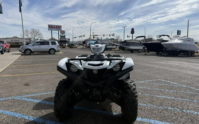 2019 Yamaha Grizzly EPS SE