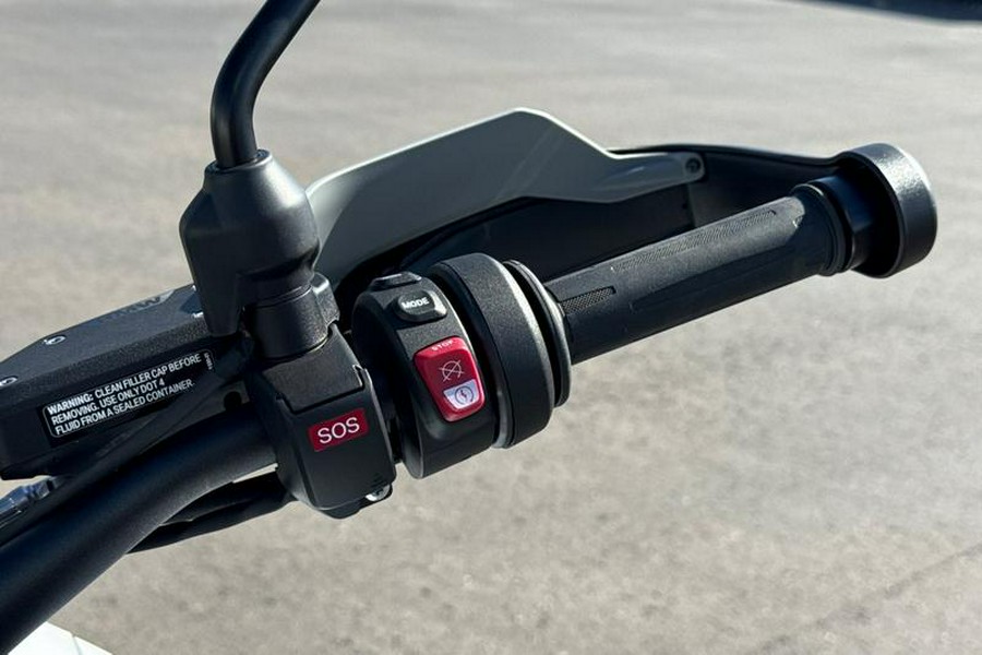 2025 BMW R 1300 GS Light White