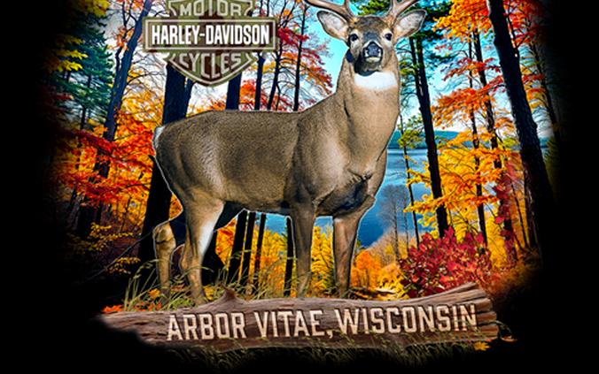 2016 Harley-Davidson Street Glide® Special