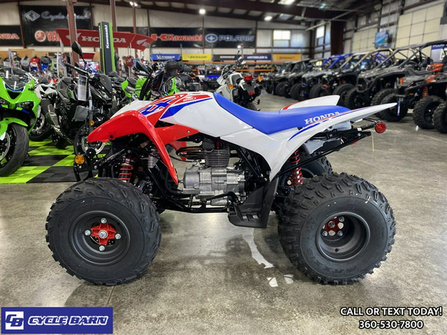 2026 Honda TRX 250X