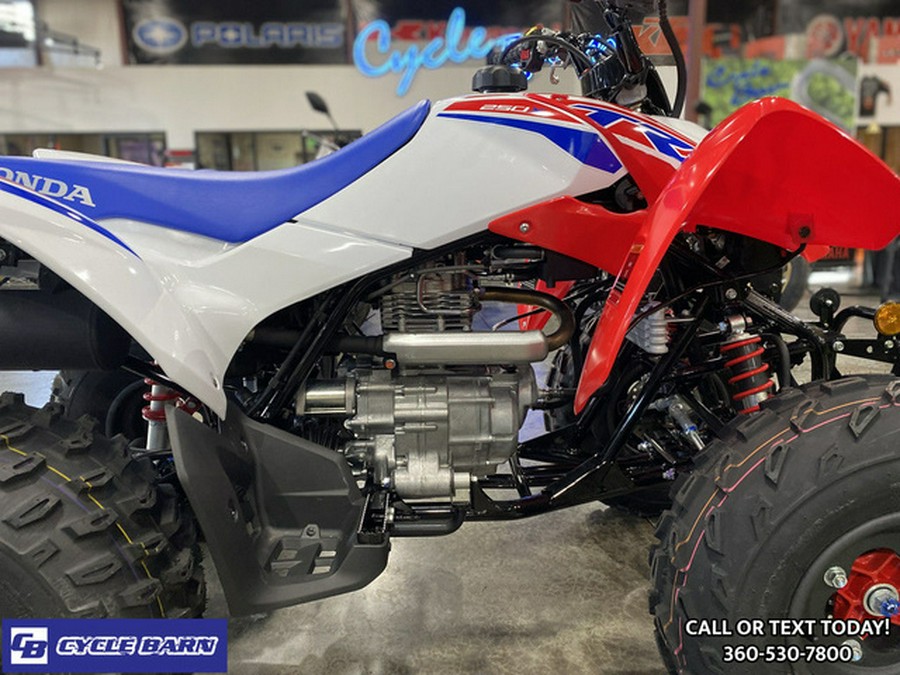 2026 Honda TRX 250X