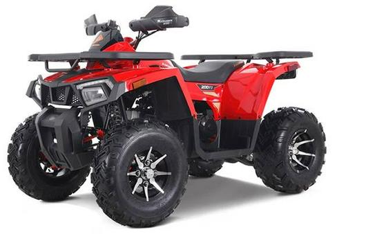 2026 Denago Powersports Mudhawk 200FI