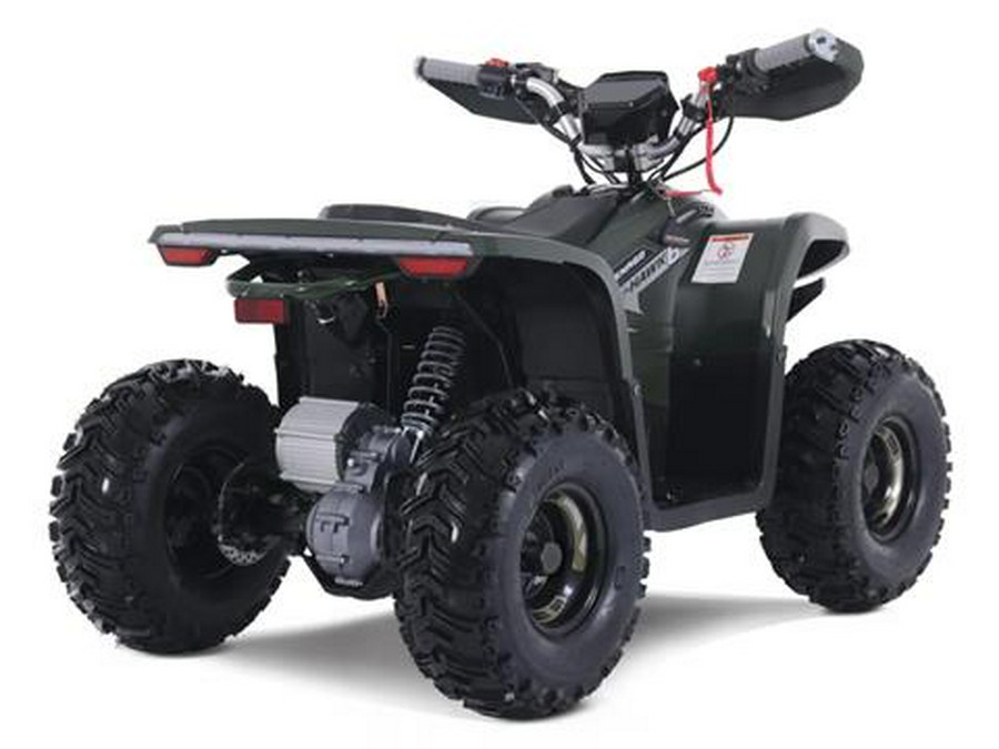 2025 Denago Powersports E-Hawk 6