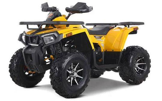 2026 Denago Powersports Mudhawk 200FI