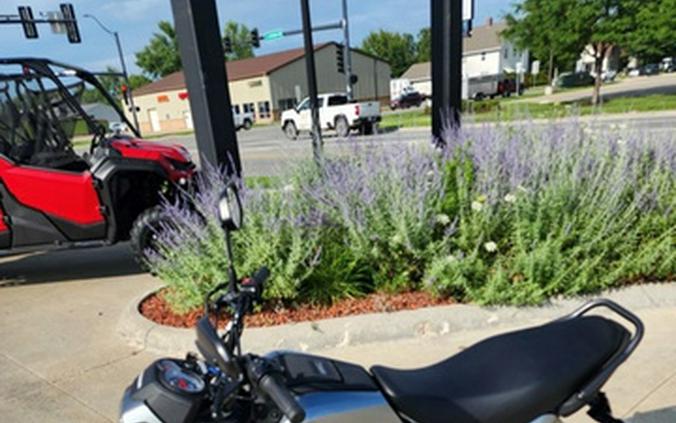 2025 Honda Navi Arctic Silver Metallic