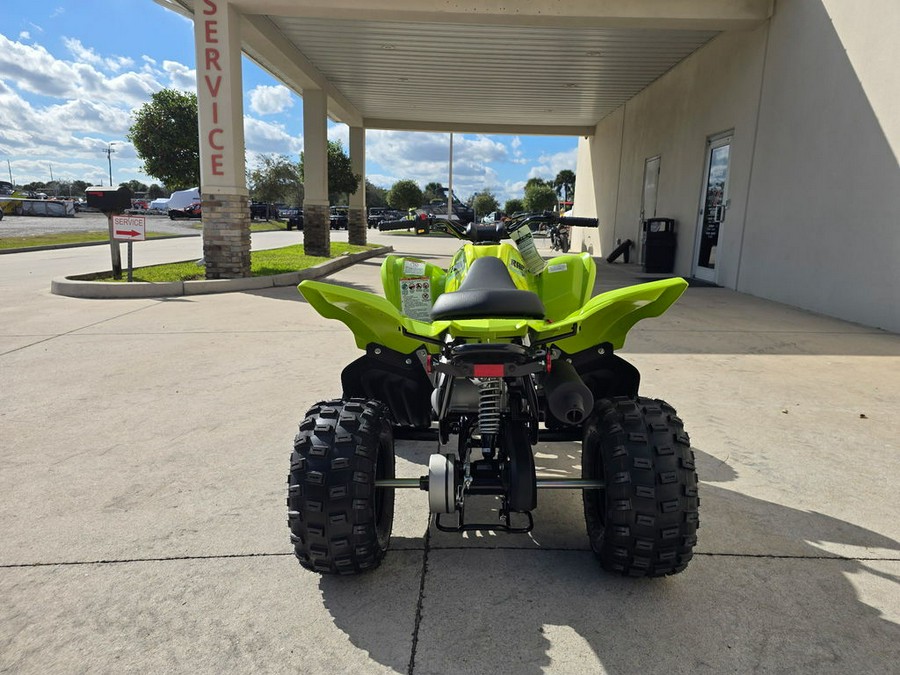 2026 Yamaha Raptor 110