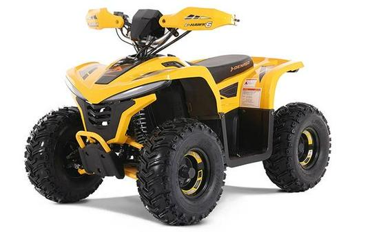 2026 Denago Powersports EHAWK6