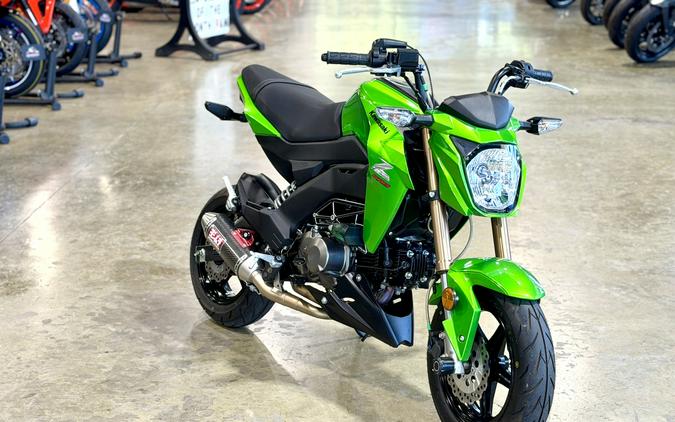 2017 Kawasaki Z125 Pro