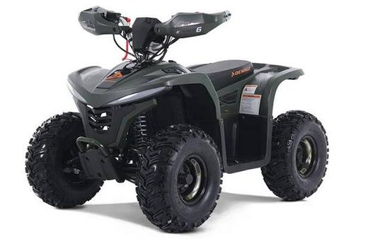 2026 Denago Powersports EHAWK6