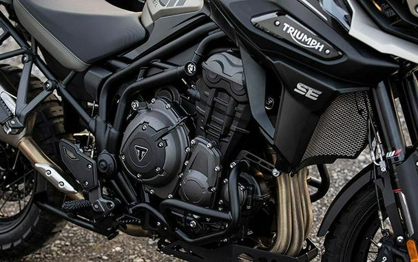 2020 Triumph Tiger 1200 Desert Edition