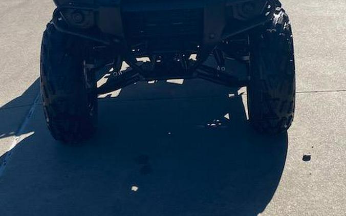 2025 Kawasaki Brute Force 300