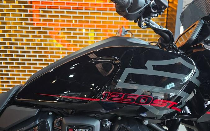 2025 Harley-Davidson® Pan America® 1250 ST RA1250ST
