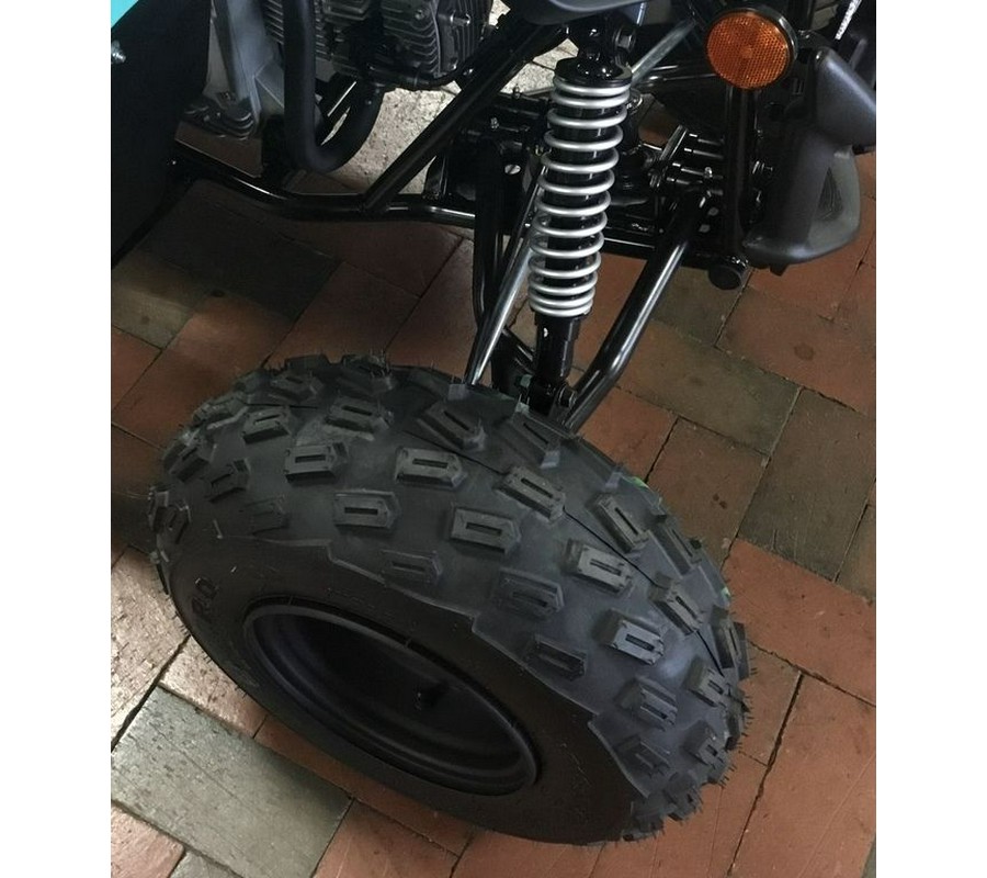 2024 Yamaha Raptor 110