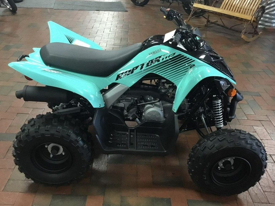 2024 Yamaha Raptor 110