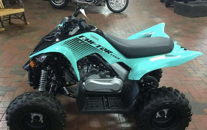 2024 Yamaha Raptor 110