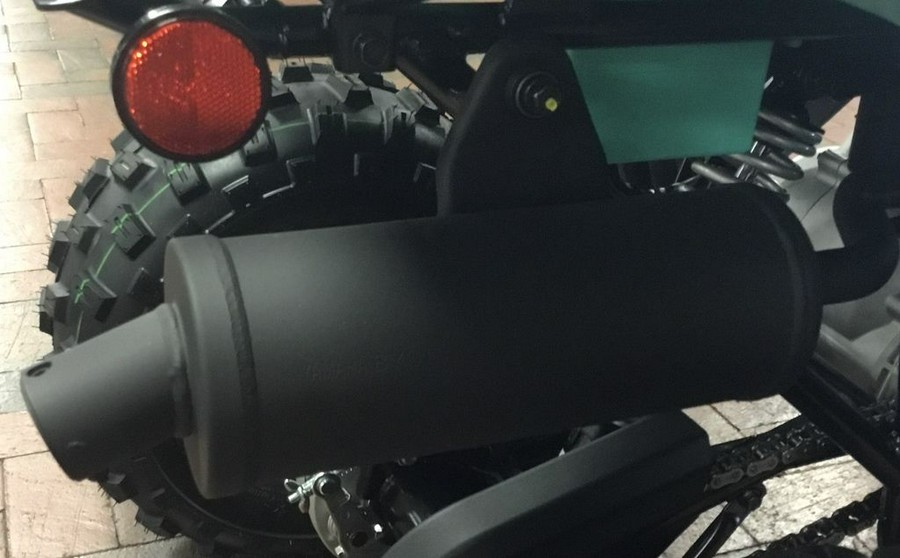 2024 Yamaha Raptor 110