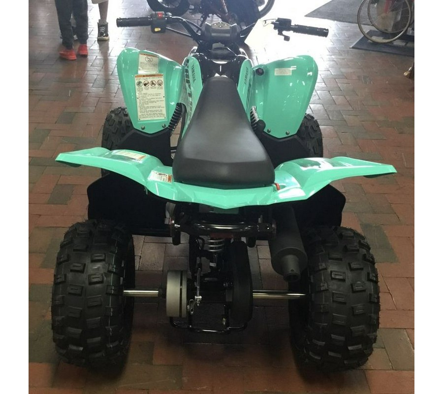 2024 Yamaha Raptor 110