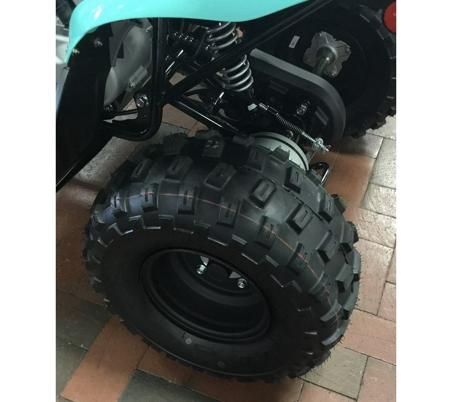 2024 Yamaha Raptor 110