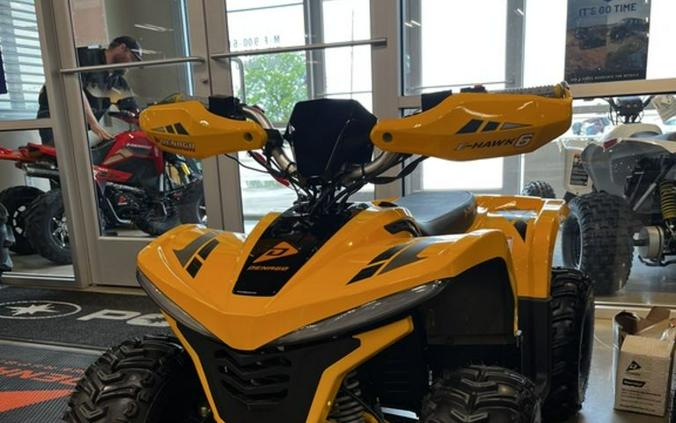 2026 Denago EV E-Hawk 6