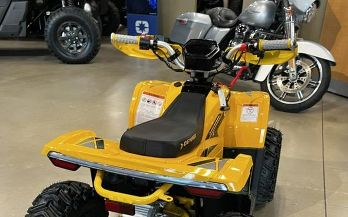 2026 Denago EV E-Hawk 6