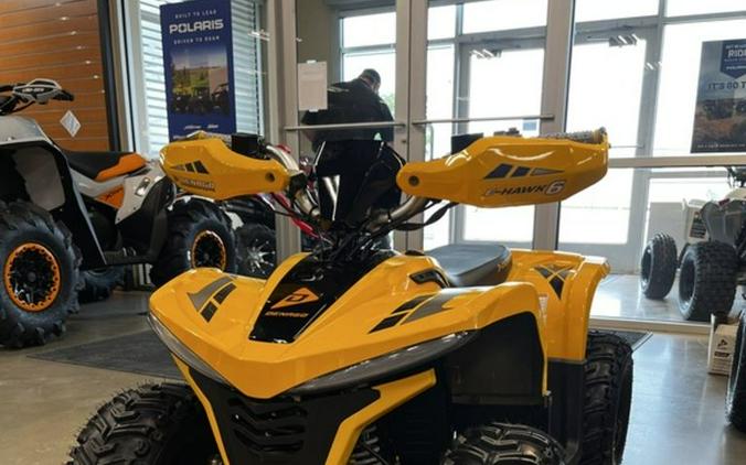 2026 Denago EV E-Hawk 6