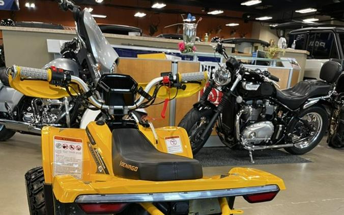 2026 Denago EV E-Hawk 6