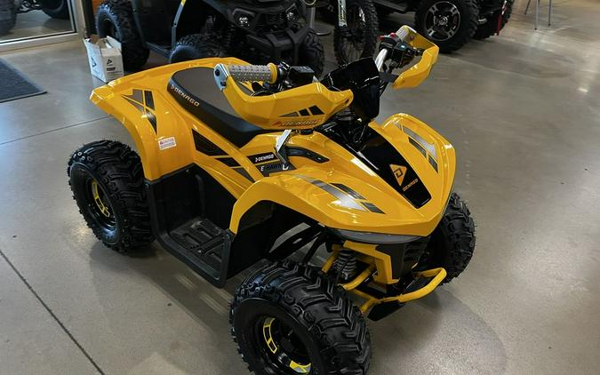 2026 Denago EV E-Hawk 6