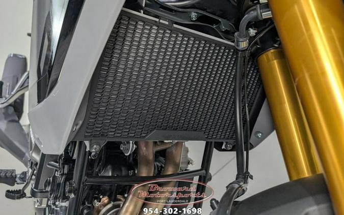 2025 Suzuki V-STROM 800DE