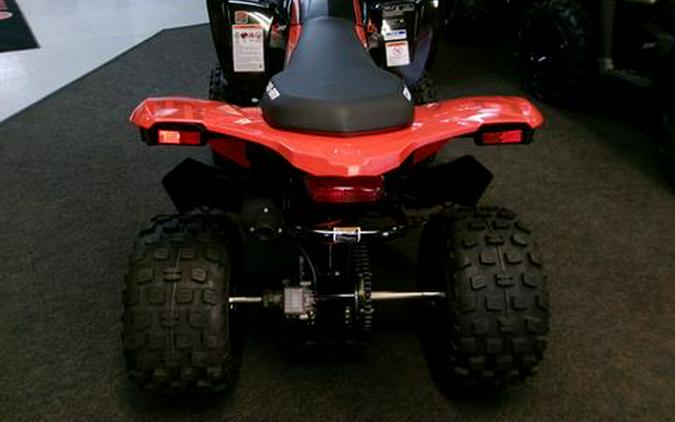 2025 Can-Am DS 250