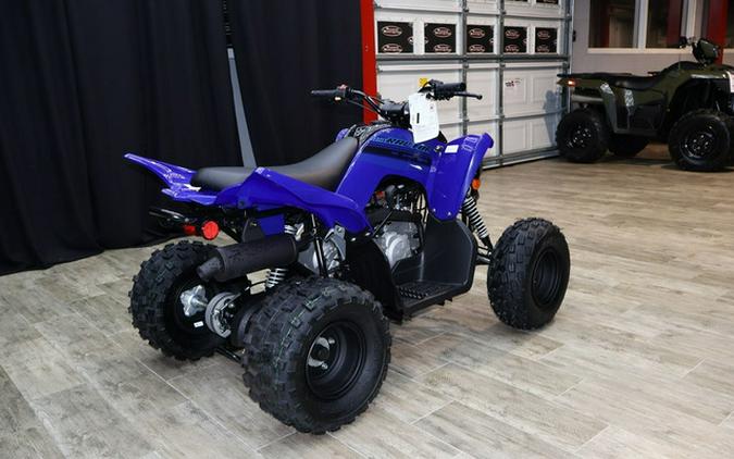 2024 Yamaha Raptor 110