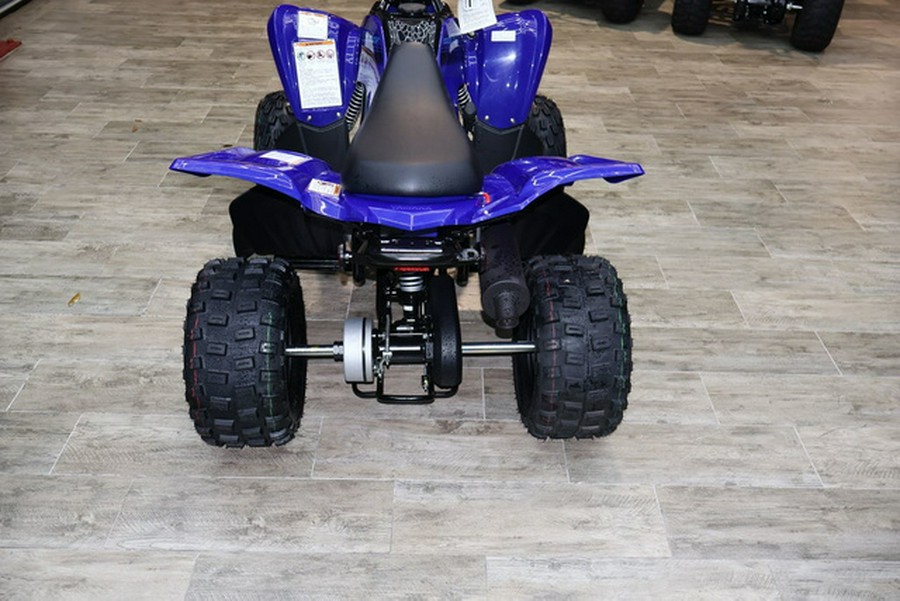 2024 Yamaha Raptor 110