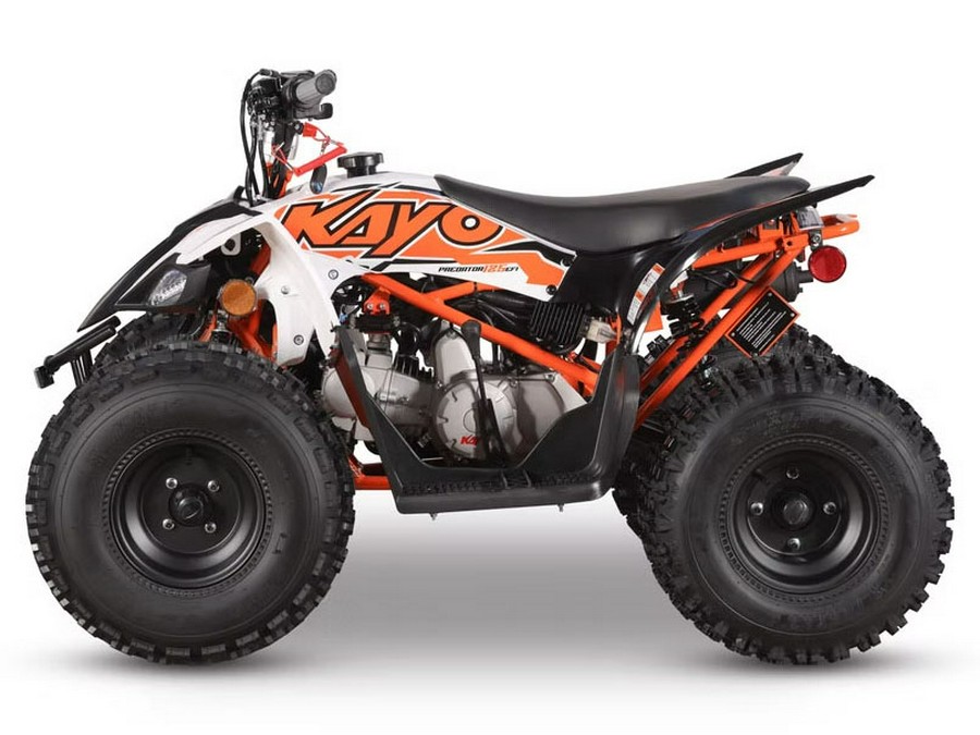 2026 Kayo Predator 125 EFI