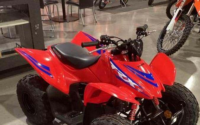 2024 Honda® TRX90X