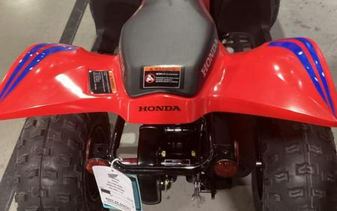 2024 Honda® TRX90X