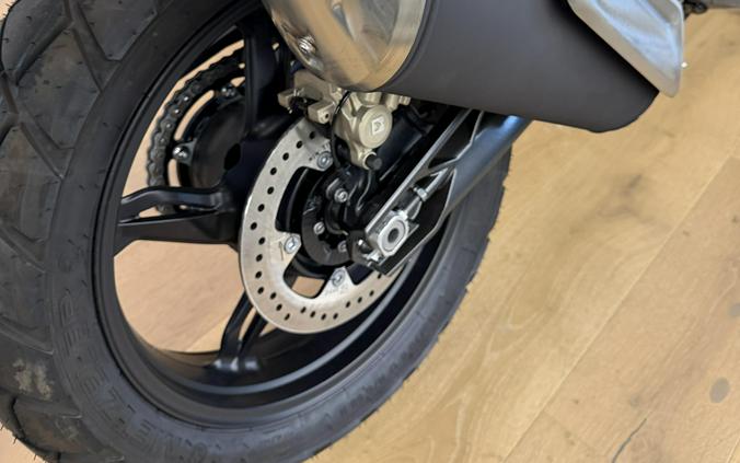 2025 BMW G 310 GS