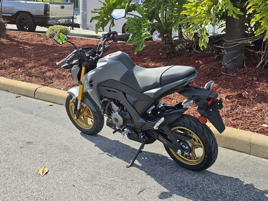 2024 Kawasaki Z125 PRO