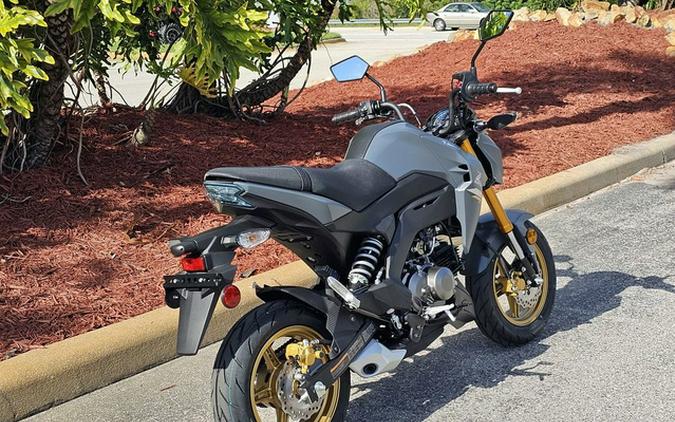 2024 Kawasaki Z125 PRO