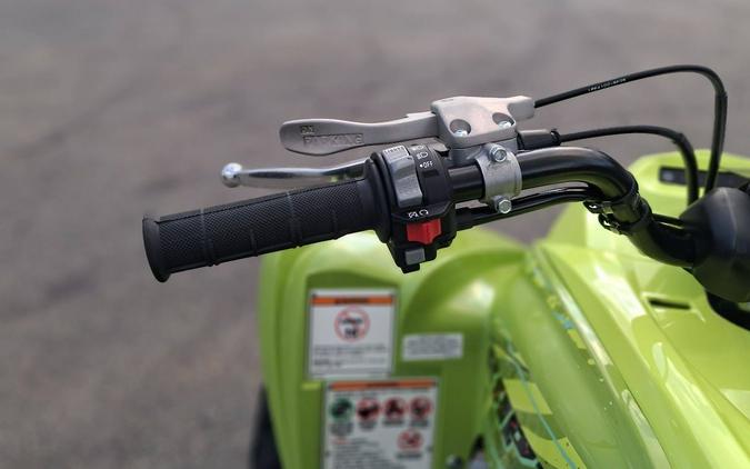 2026 Yamaha Raptor 700R SE