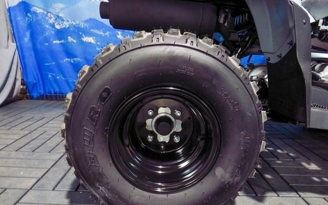 2026 Polaris Phoenix 200